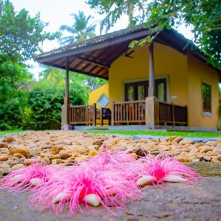 Birds Paradise Cabanas ウナワトゥナ エクステリア 写真