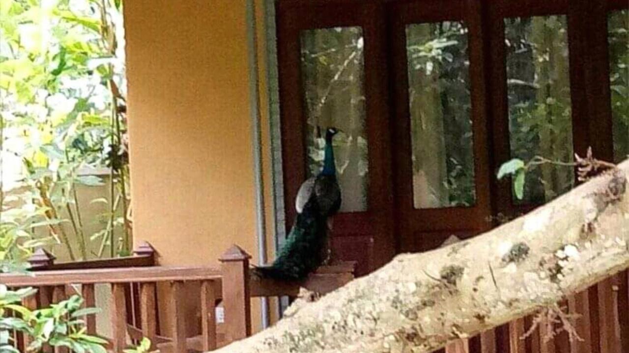 Birds Paradise Cabanas ウナワトゥナ エクステリア 写真