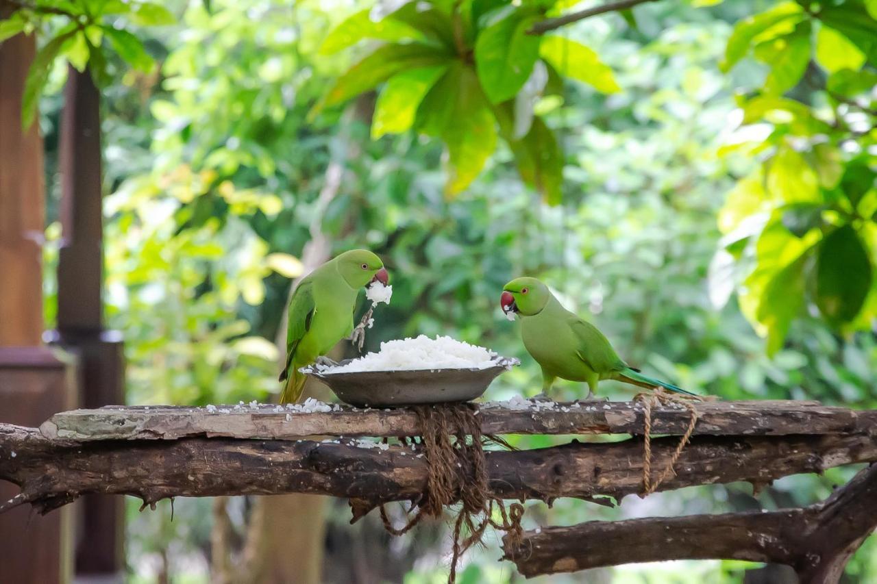 Birds Paradise Cabanas ウナワトゥナ エクステリア 写真
