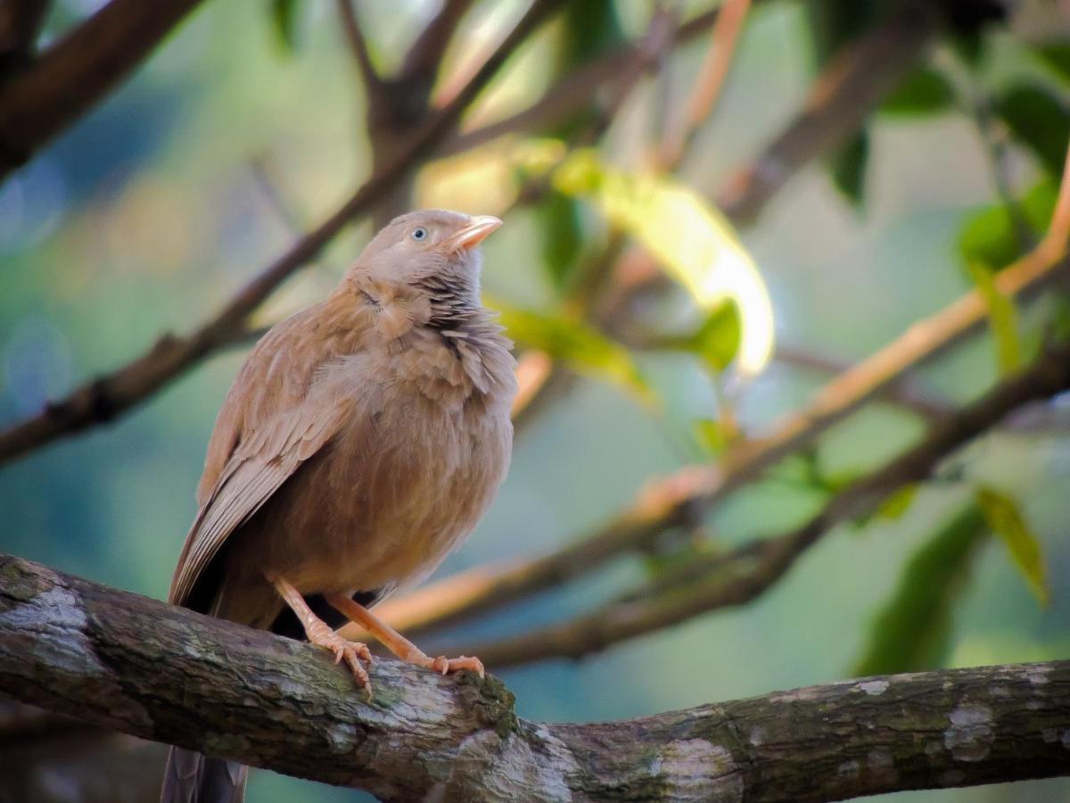 Birds Paradise Cabanas ウナワトゥナ エクステリア 写真