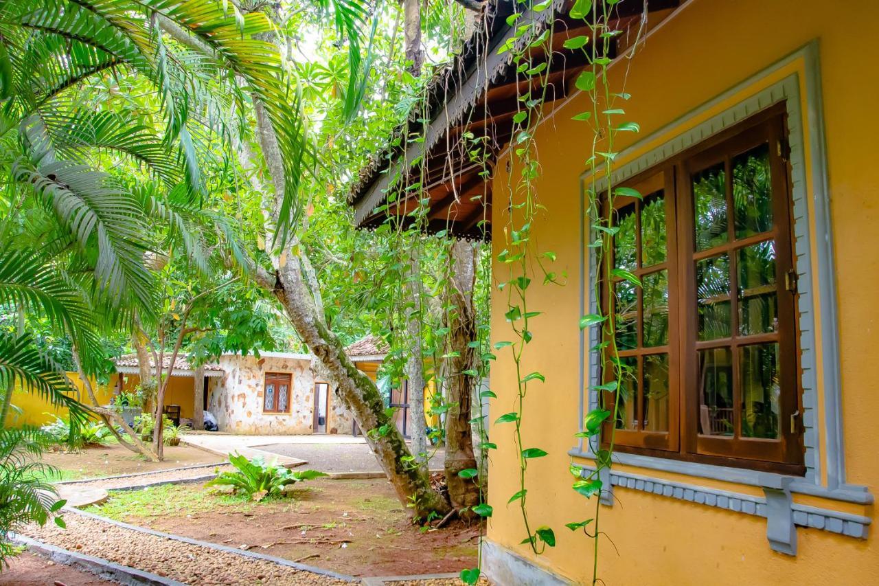 Birds Paradise Cabanas ウナワトゥナ エクステリア 写真
